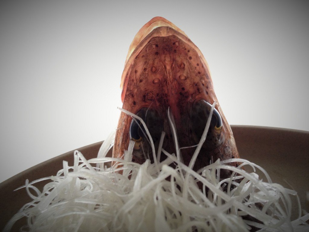 ヌードクッキング いわゆる下魚の美 =Fish Nude #27= | Silent Energy MEDIA