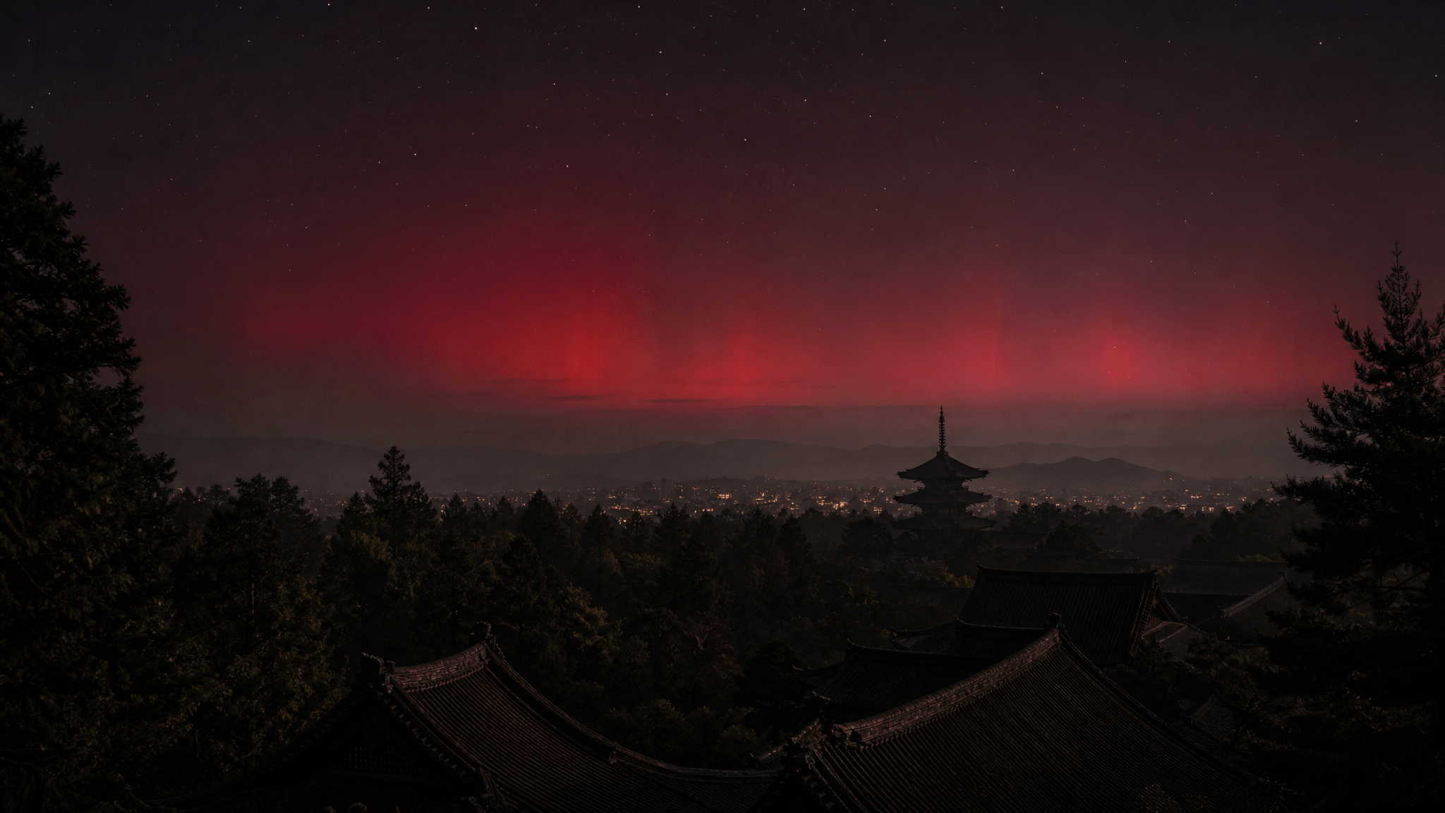 定家の一行と木の年輪で読む、千年前の赤い夜空